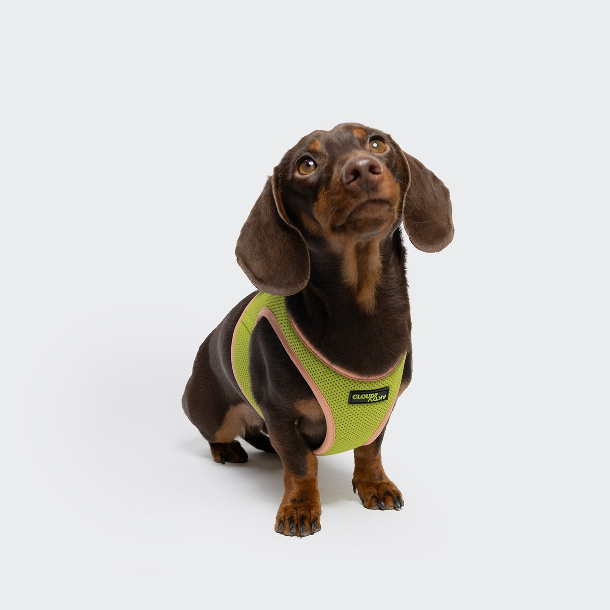 V-1 Vest Harness AKTIV Air-Mesh Peach/Neon Green product image