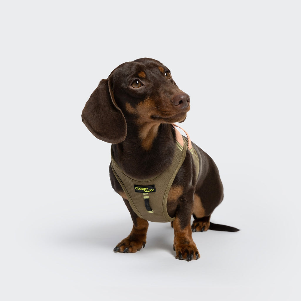 V-2 Vest Harness AKTIV Cordura Khaki/Peach product image