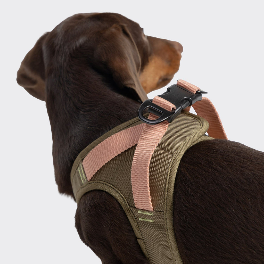 V-2 Vest Harness AKTIV Cordura Khaki/Peach product image