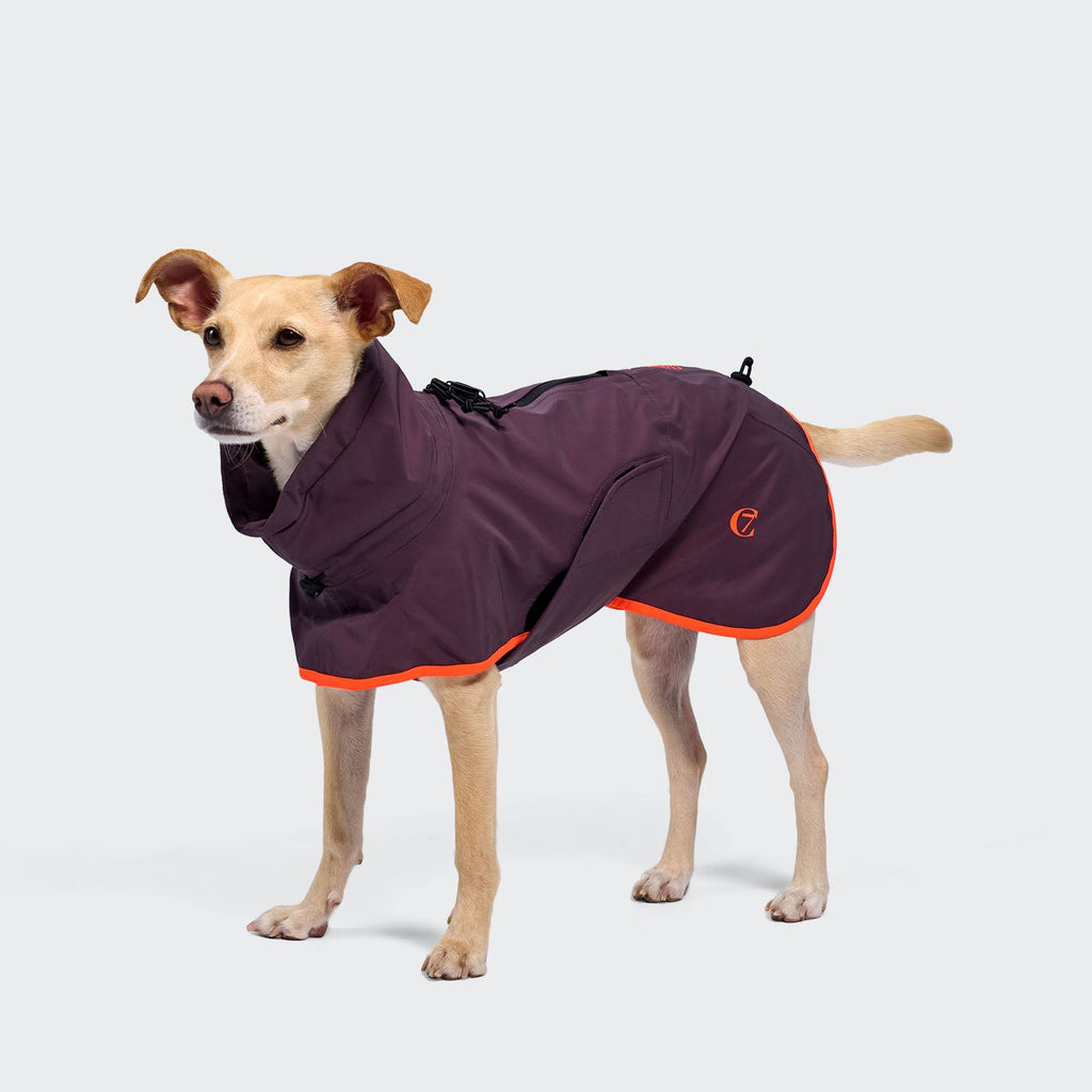 Dog Raincoat AKTIV Aubergine/Orange product image