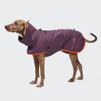 Dog Raincoat AKTIV Aubergine/Orange product image