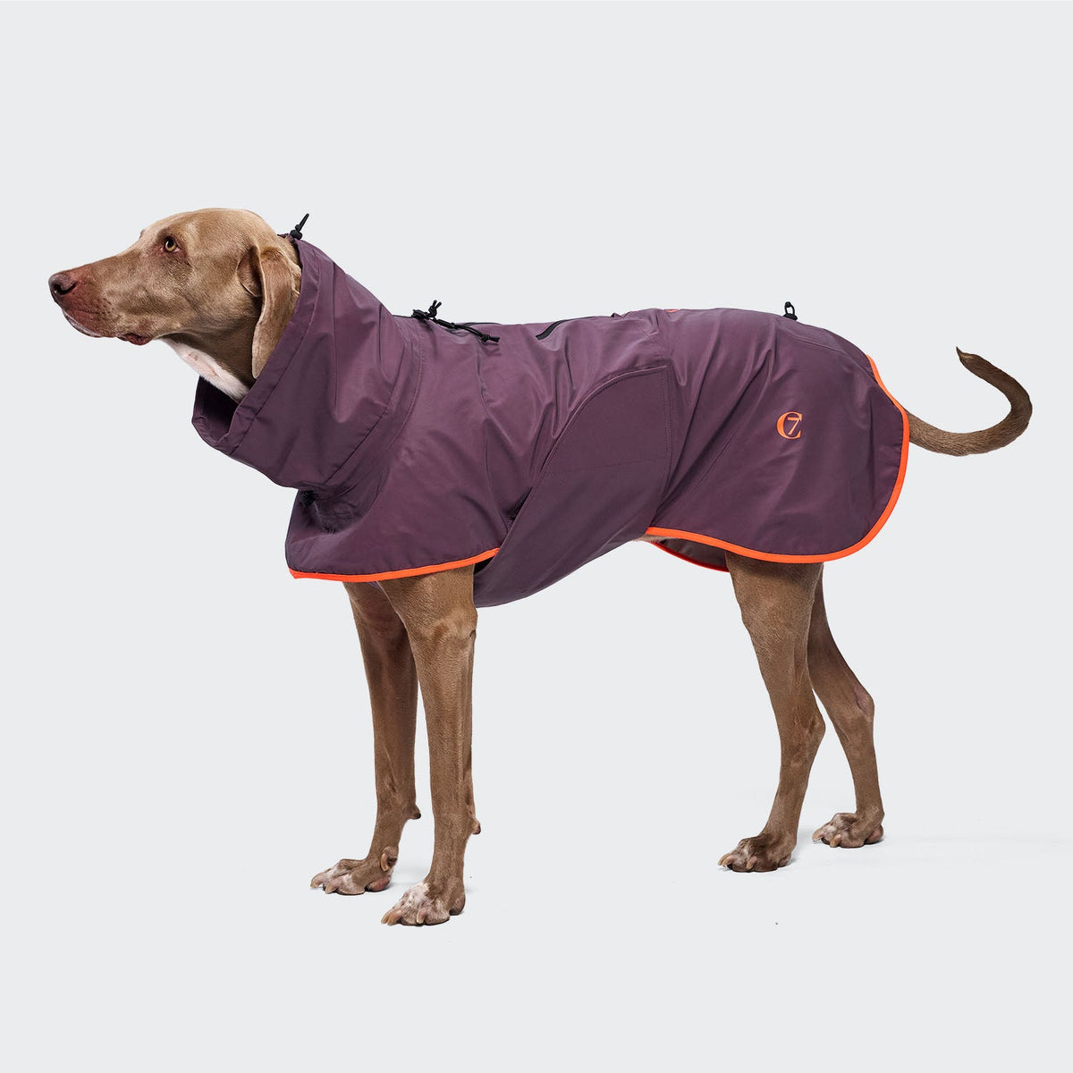 Dog Raincoat AKTIV Aubergine/Orange product image