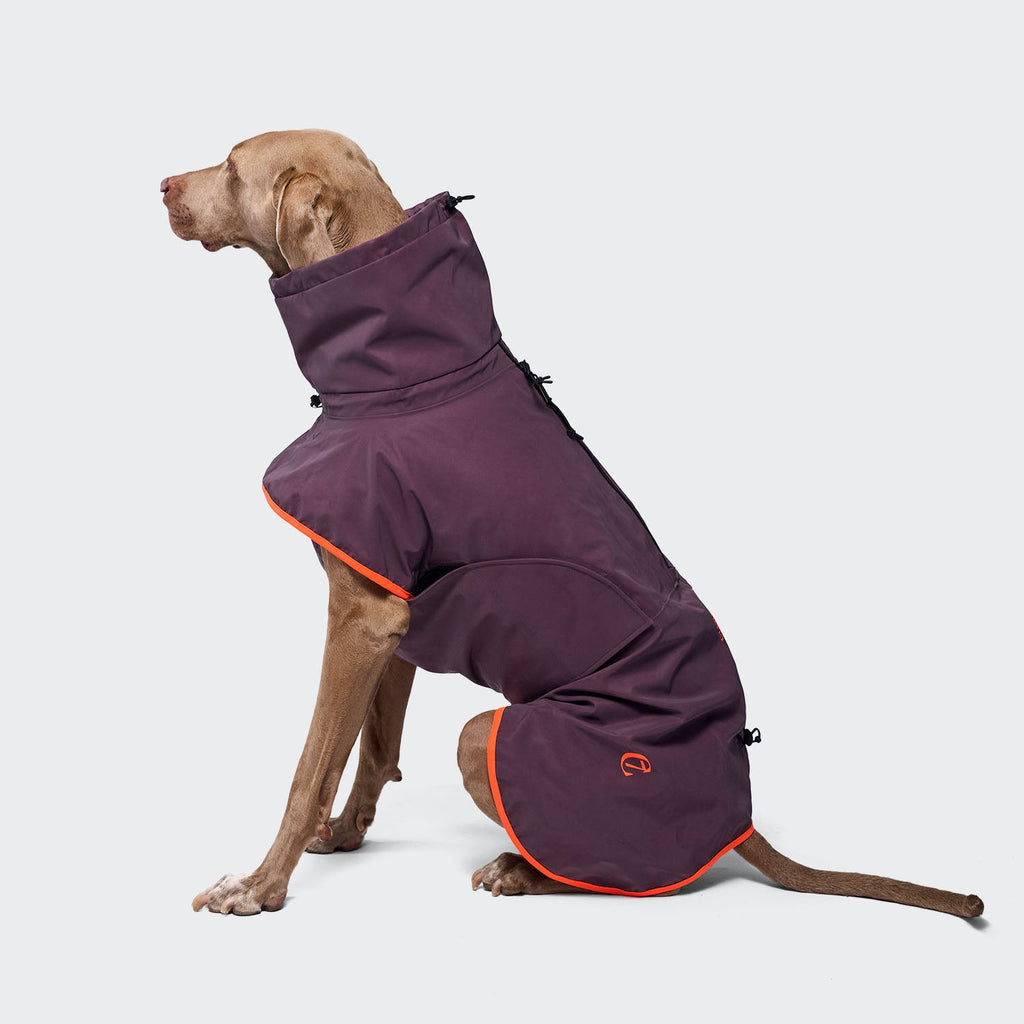 Dog Raincoat AKTIV Aubergine/Orange product image