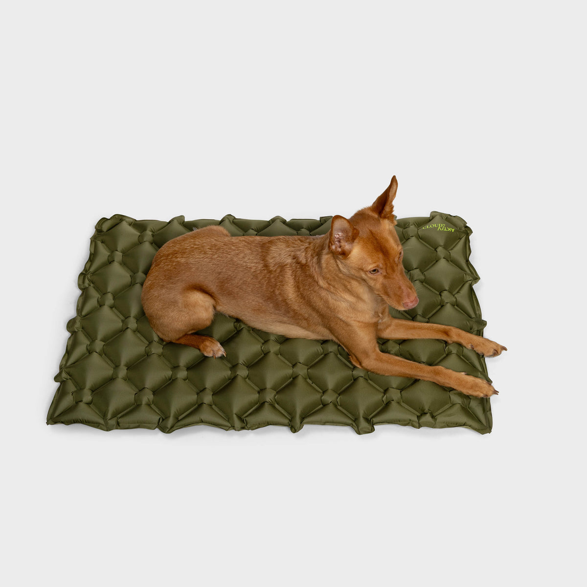 Dog Travel Air Mat AKTIV Khaki product image