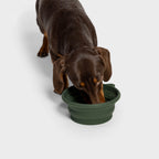 Foldable Travel Bowl AKTIV Dark Olive product image