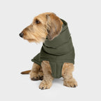 Dachshund Coat Alaska Light Olive product image