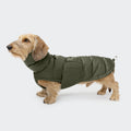Dachshund Coat Alaska Light Olive product image