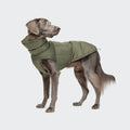 Dog Coat Alaska Light Olive product image