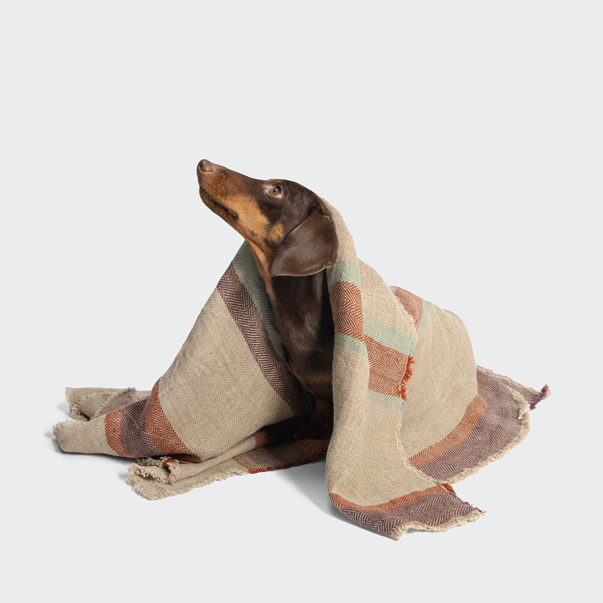 Dog Blanket Linen Stripes product image