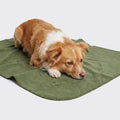 Dog Blanket Fleece Moss Green product image