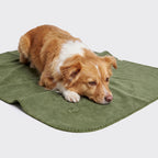 Dog Blanket Fleece Moss Green product image