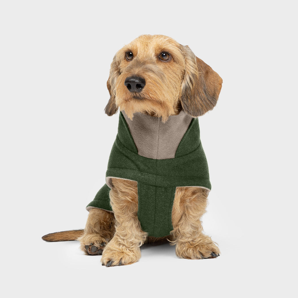 Dachshund Coat Brooklyn Flannel Fern Green product image