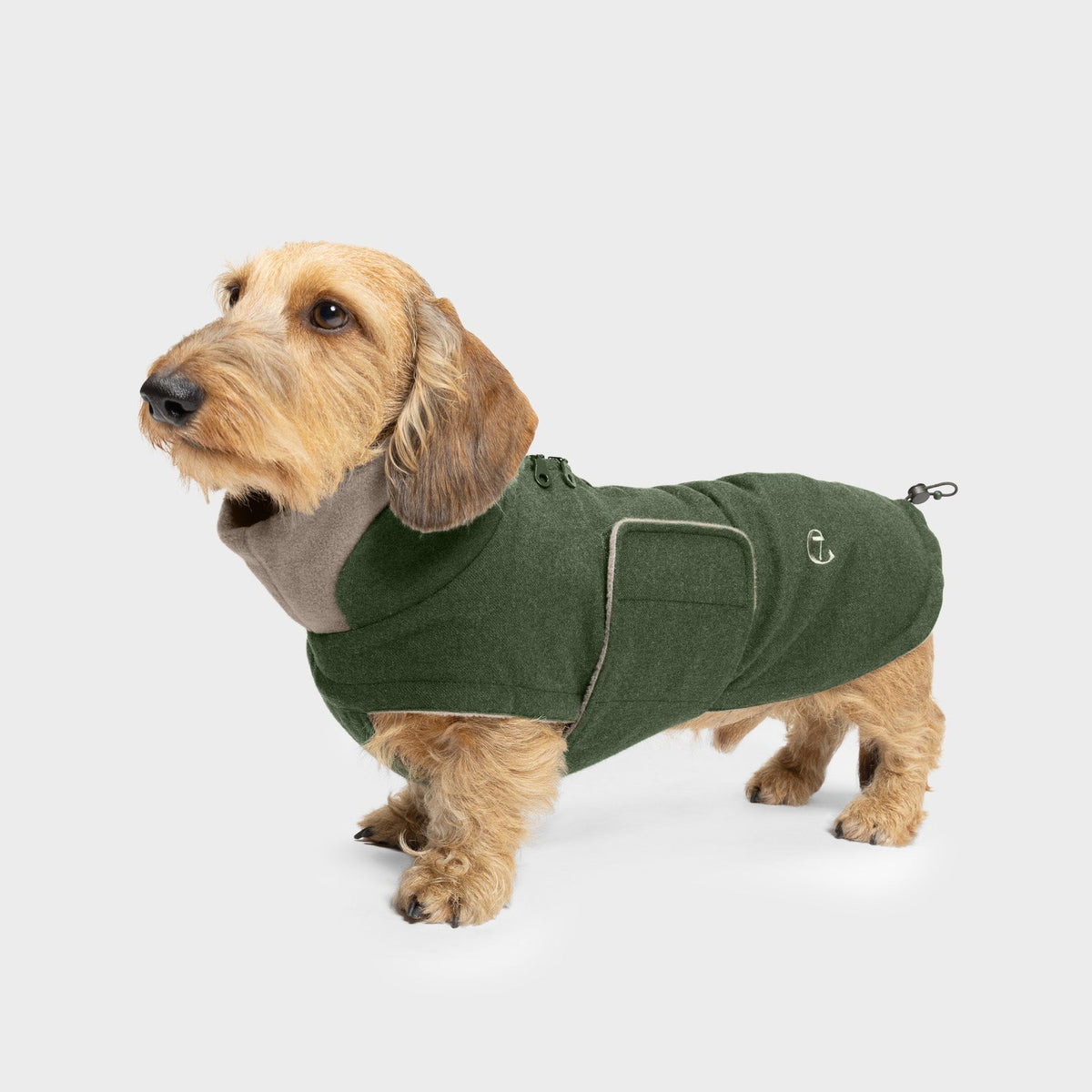 Dachshund Coat Brooklyn Flannel Fern Green product image