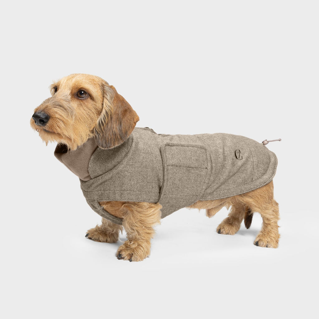 Dachshund Coat Brooklyn Tweed Beige product image