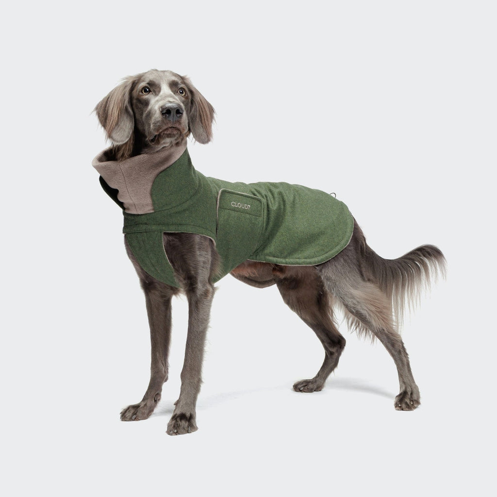 Dog Coat Brooklyn Long Flannel Fern Green product image