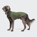 Dog Coat Brooklyn Flannel Fern Green product image