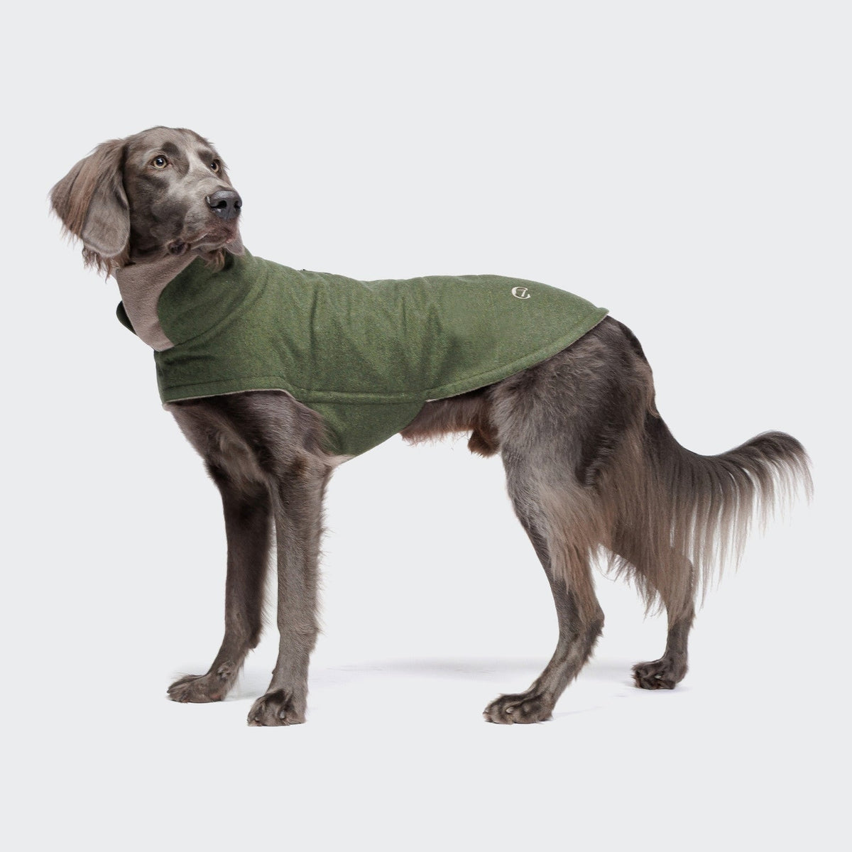 Dog Coat Brooklyn Flannel Fern Green product image