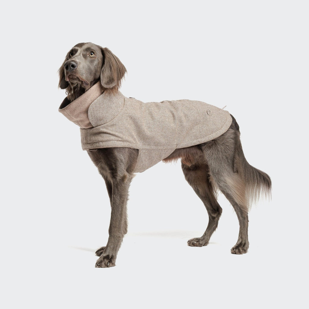 Dog Coat Brooklyn Tweed Beige product image