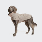 Dog Coat Brooklyn Tweed Beige product image