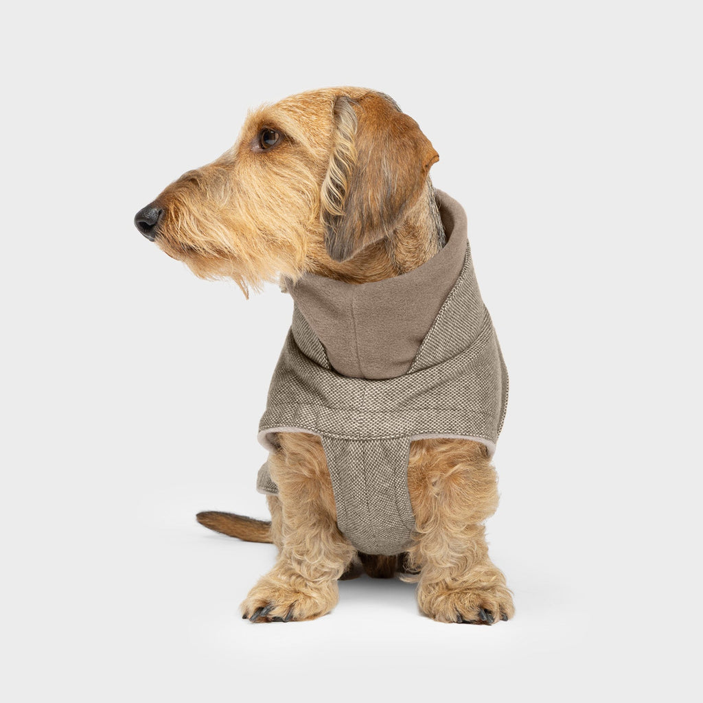 Dachshund Coat Brooklyn Tweed Beige product image