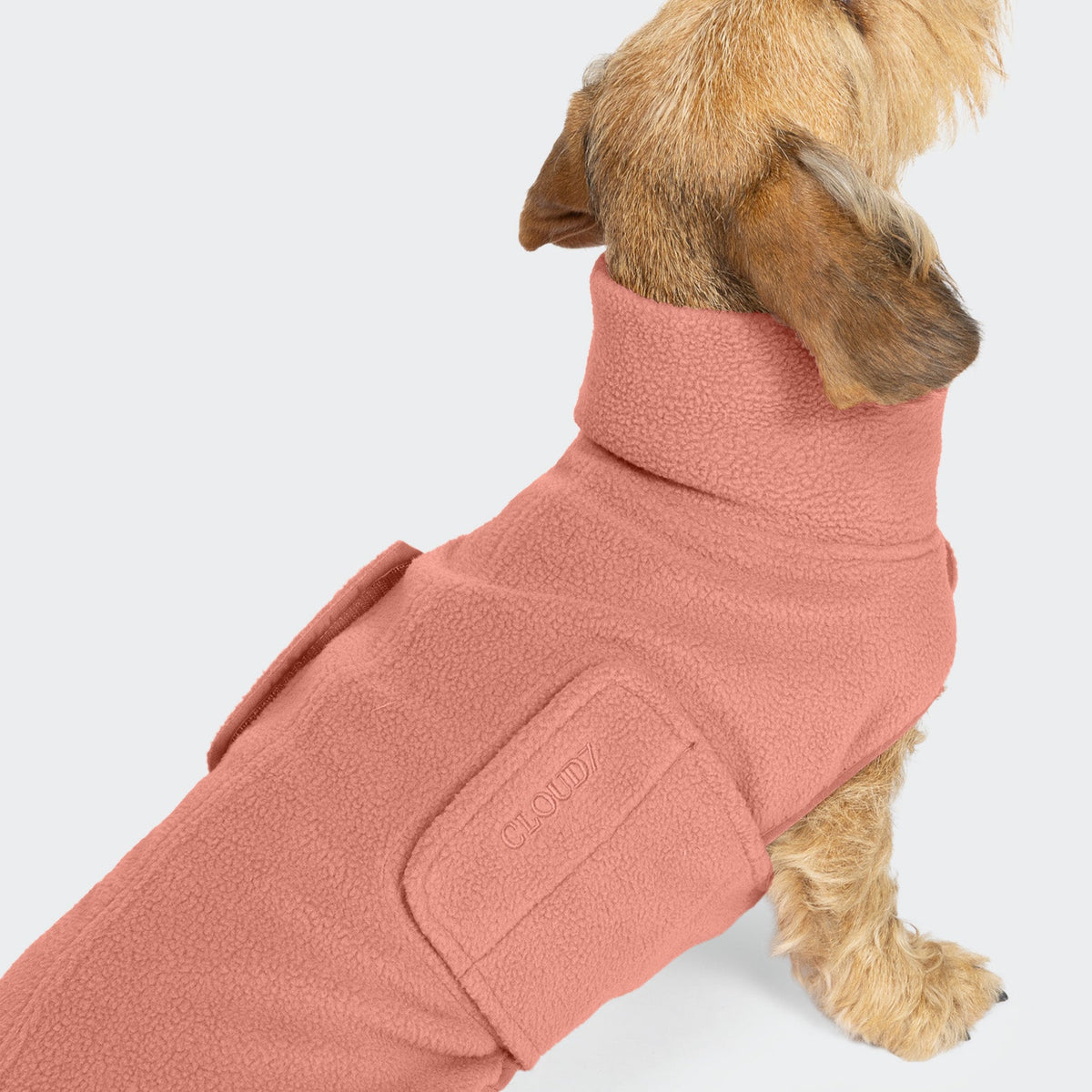 Dachshund Sweater Derby 2.0 Faded Rose product image