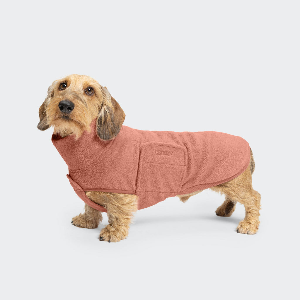 Dachshund Sweater Derby 2.0 Faded Rose product image