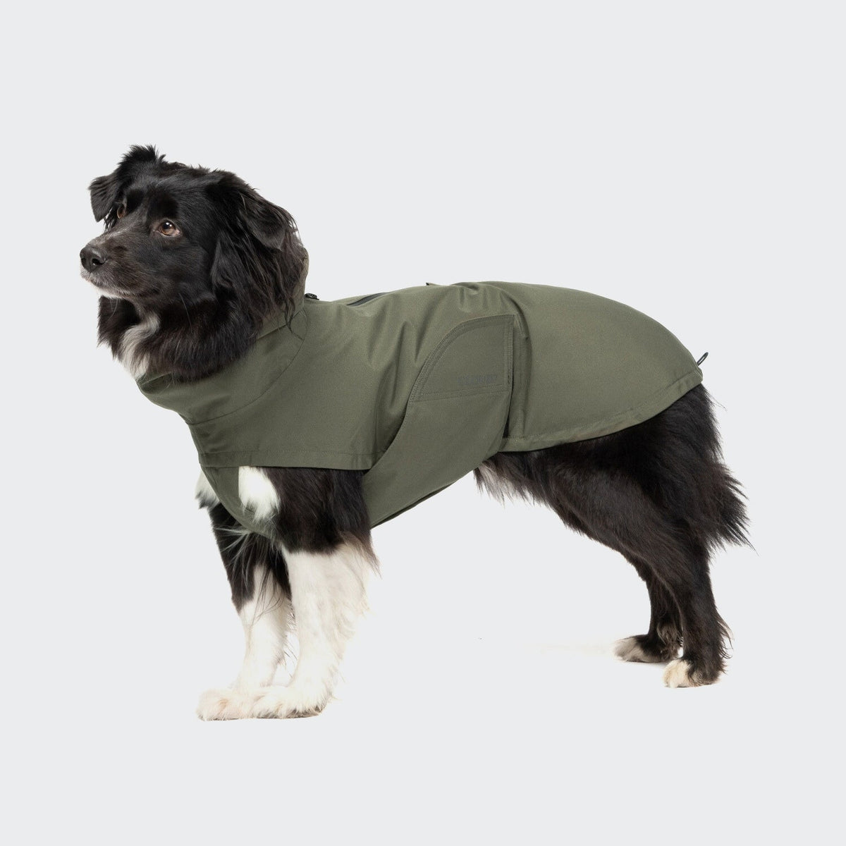 Dog Raincoat Dublin 2.0 Dark Olive product image
