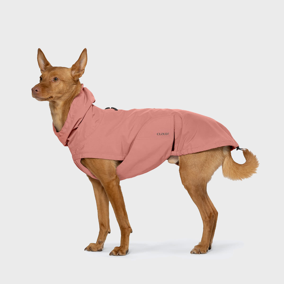 Dog Raincoat Dublin 2.0 Faded Rose product image