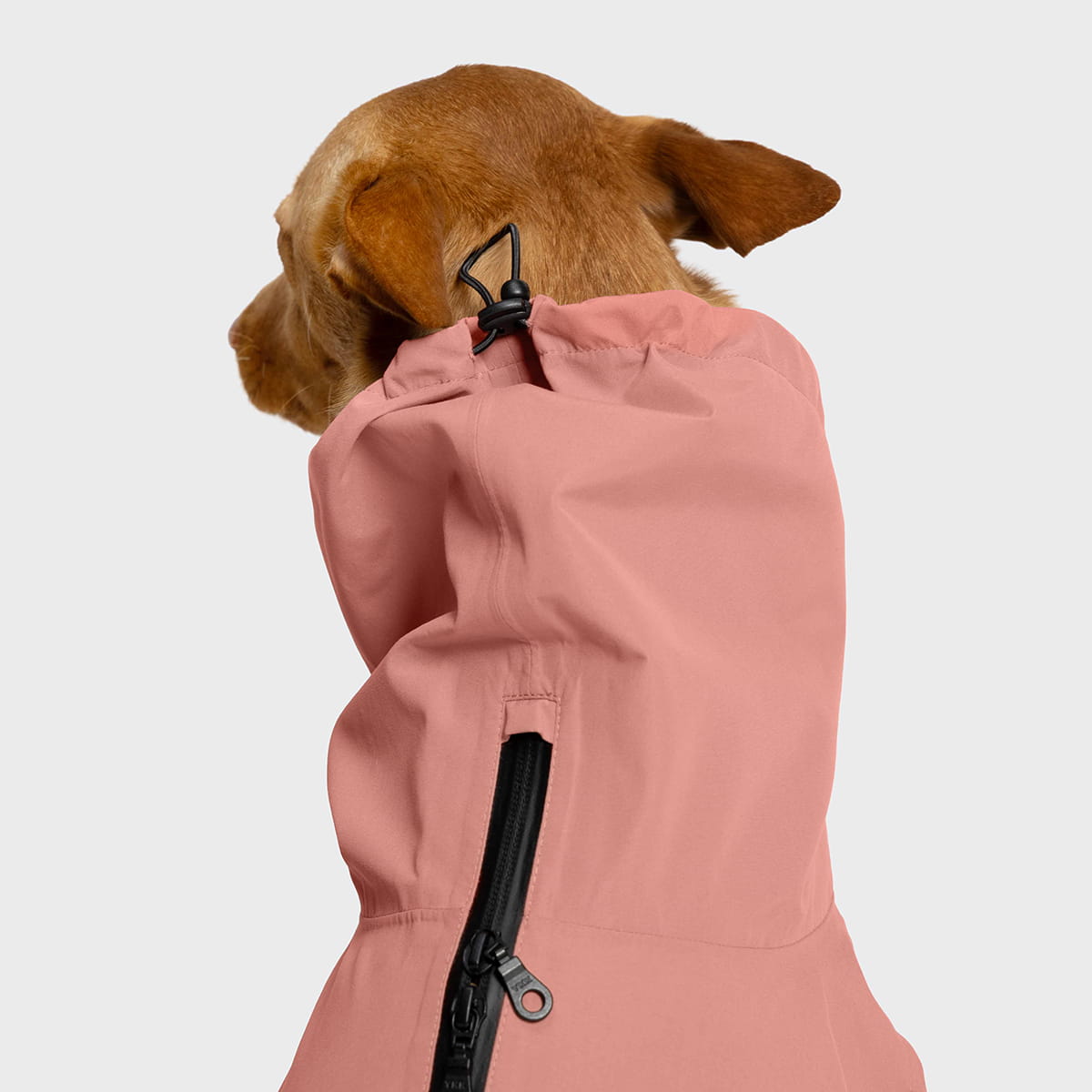 Dog Raincoat Dublin 2.0 Faded Rose product image