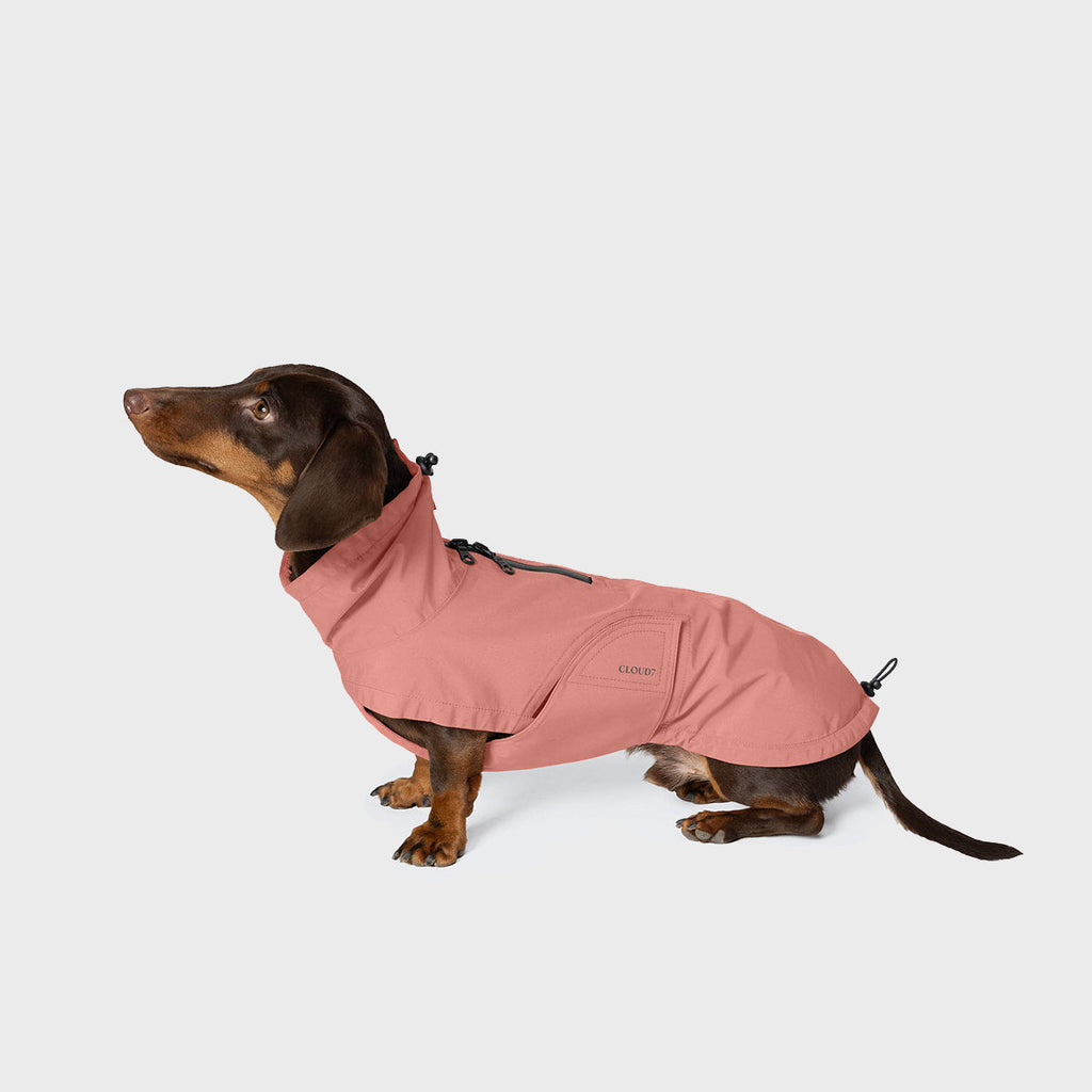 Dachshund Raincoat Dublin 2.0 Faded Rose product image