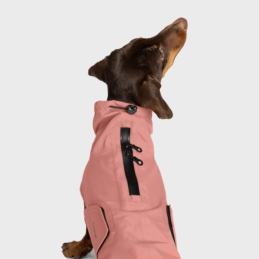 Dachshund Raincoat Dublin 2.0 Faded Rose product image