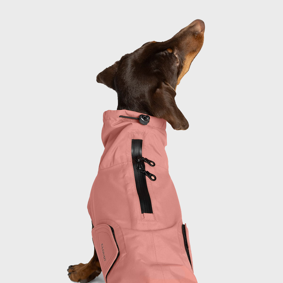 Dachshund Raincoat Dublin 2.0 Faded Rose product image