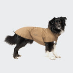 Dog Raincoat Dublin 2.0 Sandy Brown product image