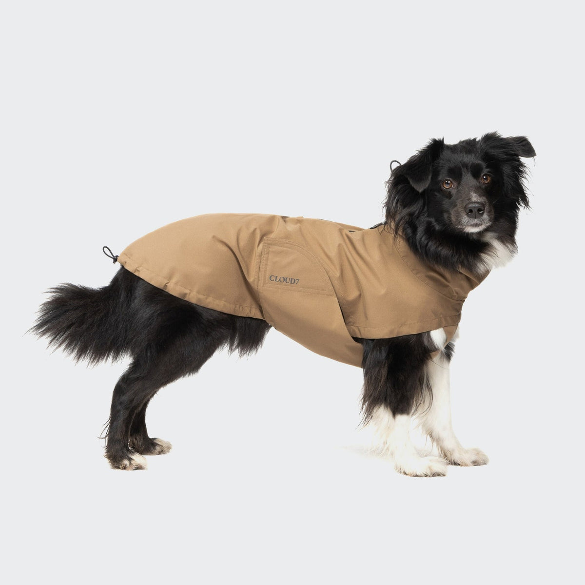 Dog Raincoat Dublin 2.0 Sandy Brown product image