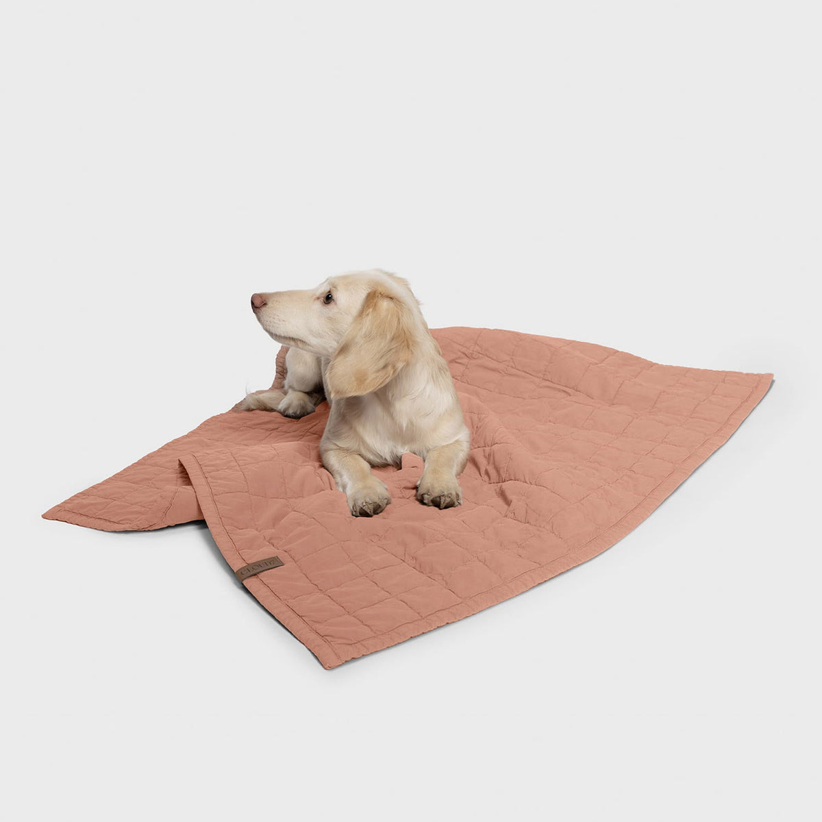 Dog Blanket LTTL Dusty Rose product image