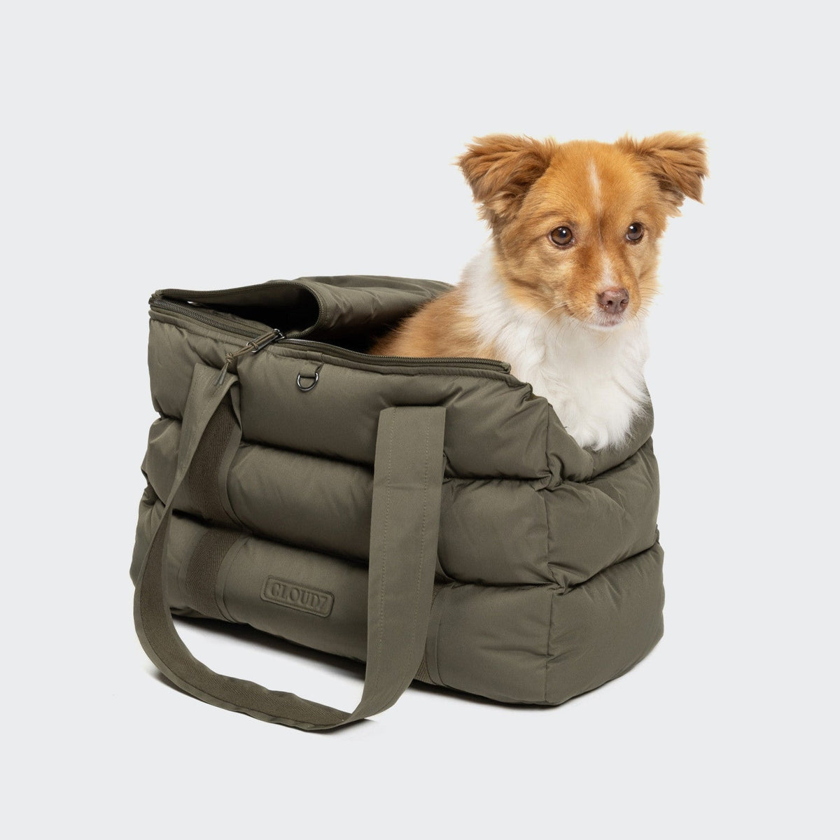 Dog Carrier Montreal Light Olive product image