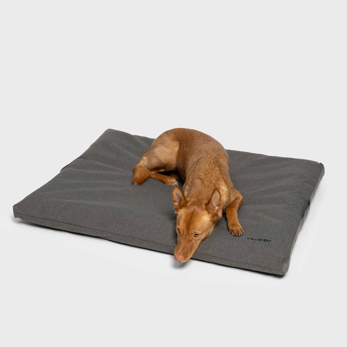 Outdoor Dog Bed Siesta Light Graphite product image