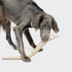 Dog Toy Snake Smilla product image