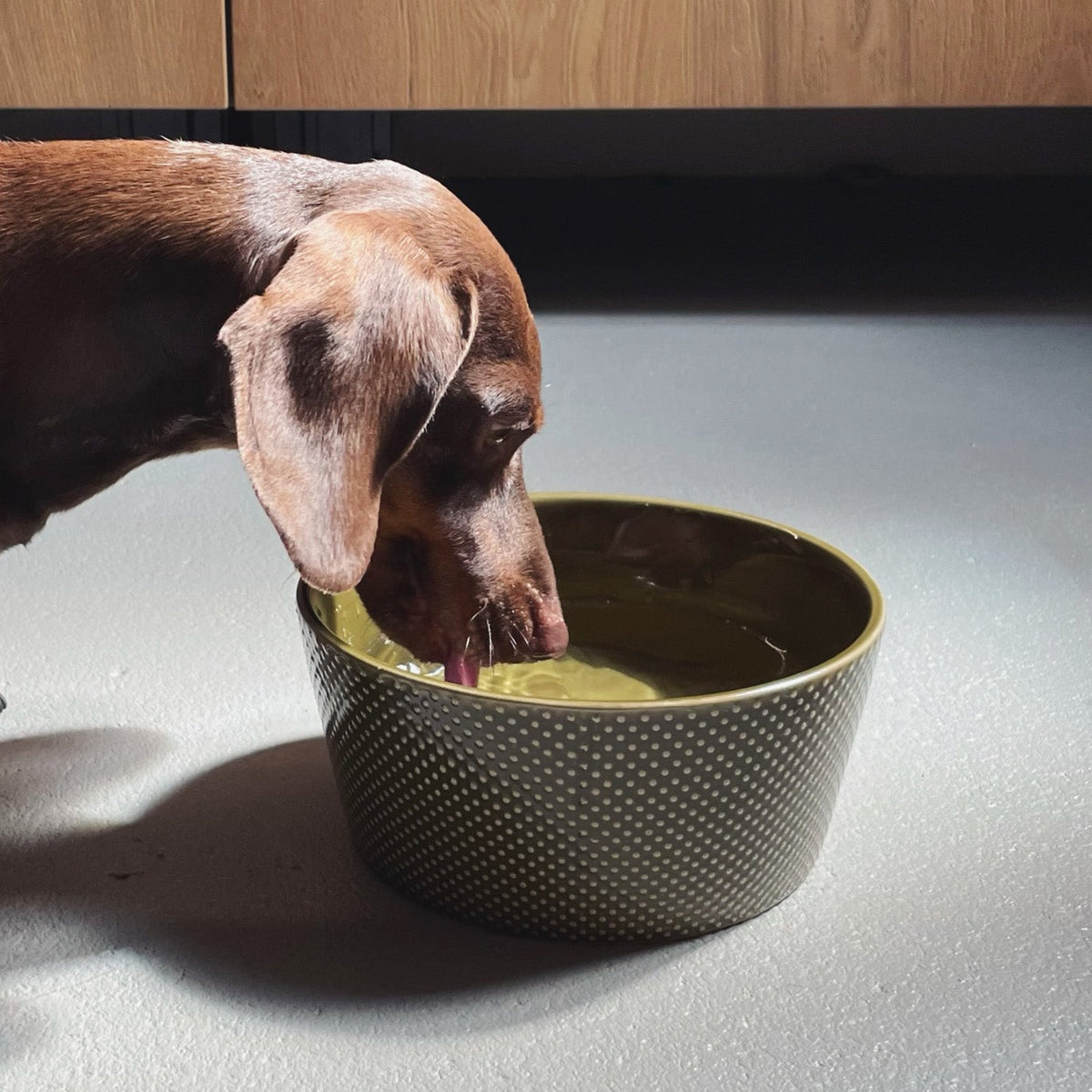 Dog Bowl Alain Avocado product image