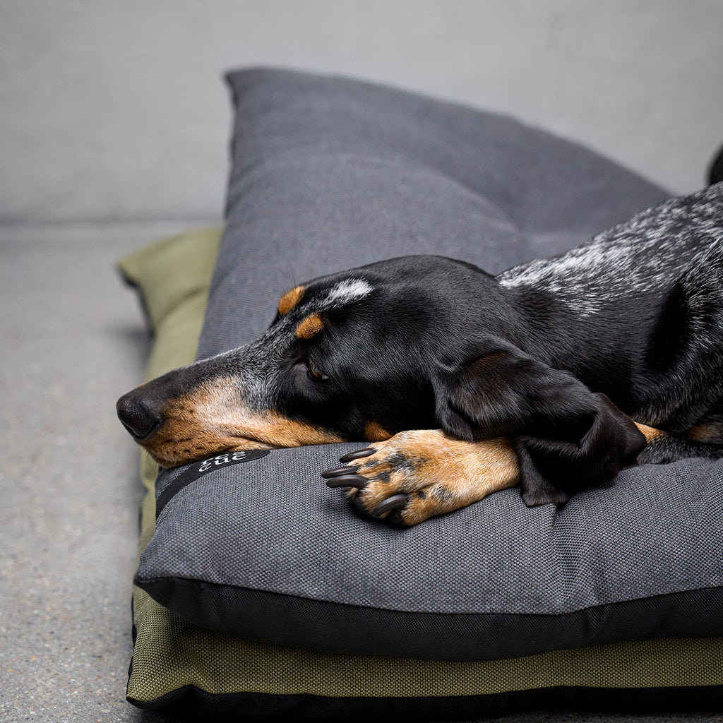 RESC7UE Dog Pillow Anthra product image