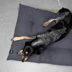 RESC7UE Dog Pillow Anthra product image