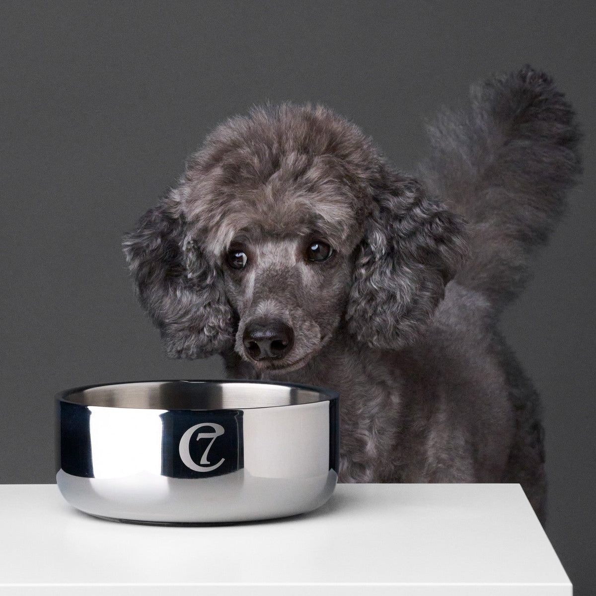 Dog Bowl Dylan Stainless Steel product image