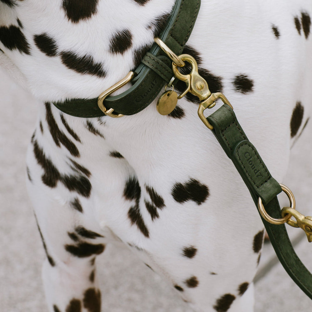 Dog Leash Tiergarten Moss product image