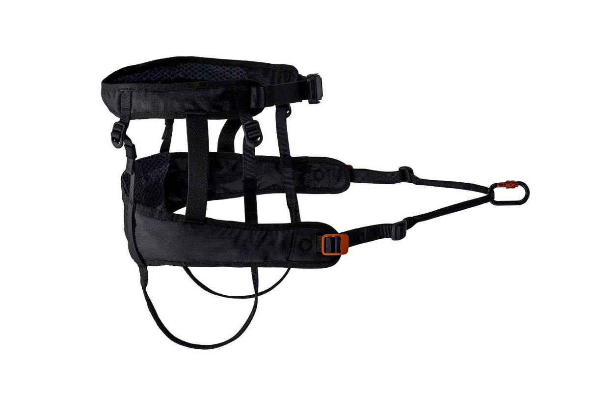CaniX belt 3.0 product image