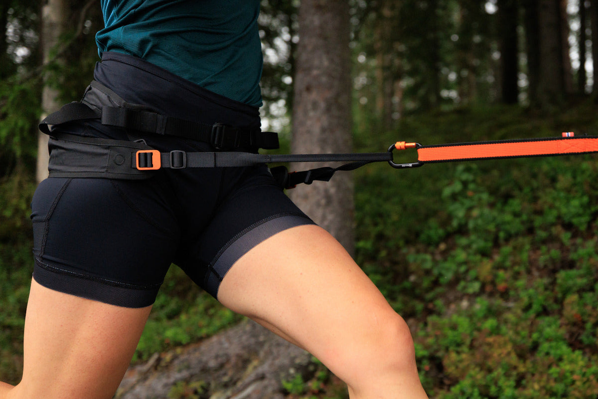 CaniX belt 3.0 product image