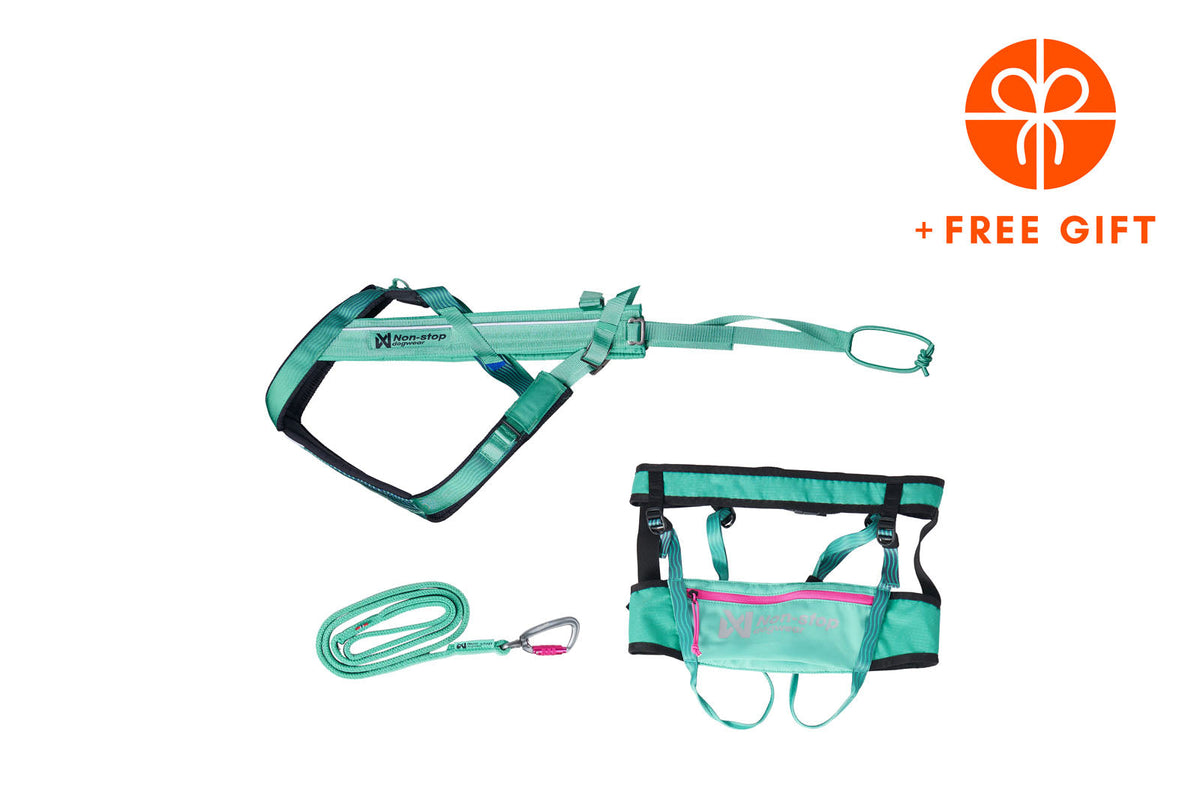 CaniX kit Aqua product image