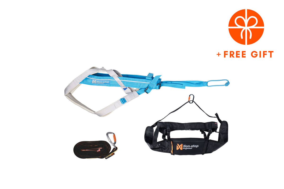 CaniX kit Blue/gray product image