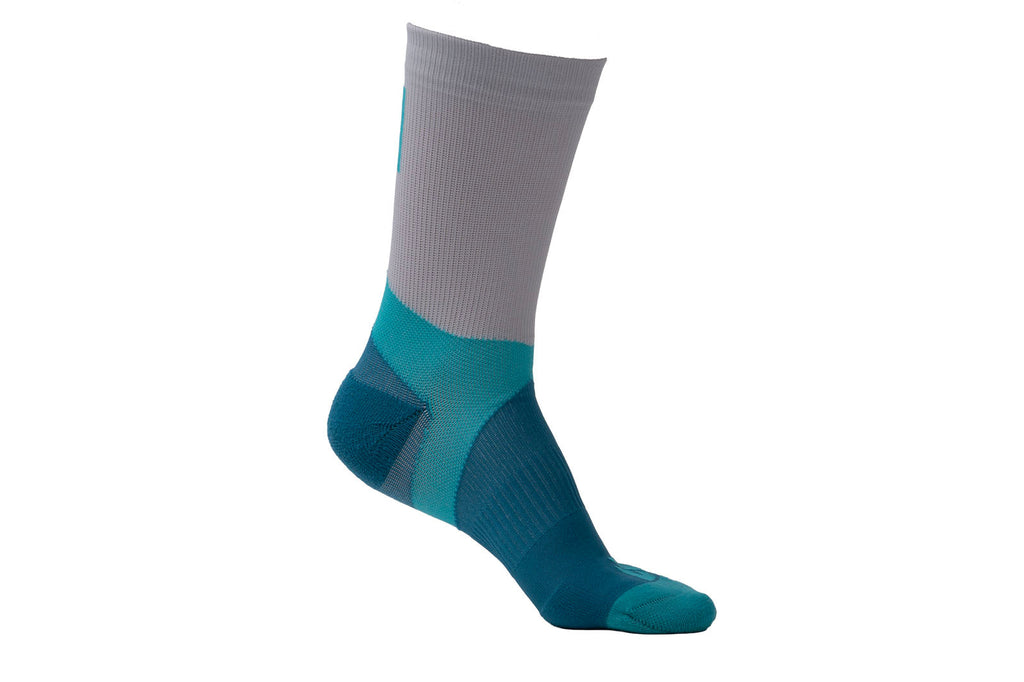 CaniX socks product image