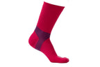 CaniX socks product image