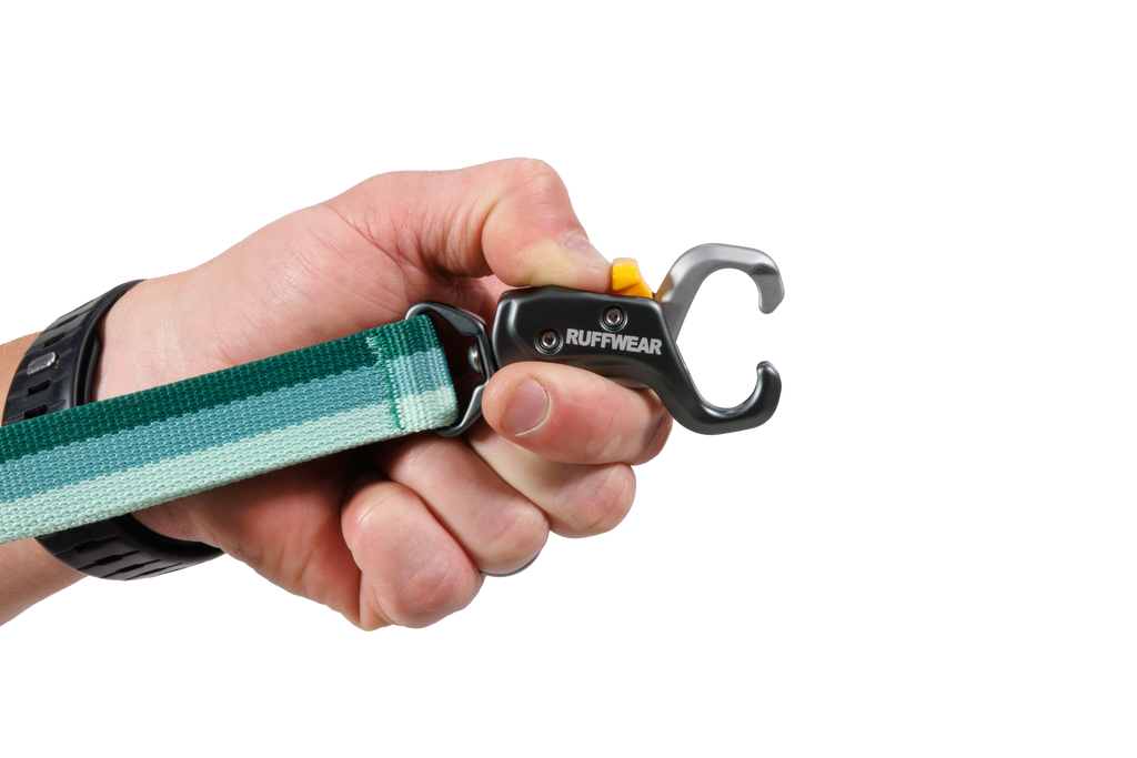 Roamer Lock™ Lead product image